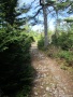 Branch Pond Trail