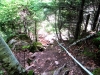 Cape Dauphin Trail