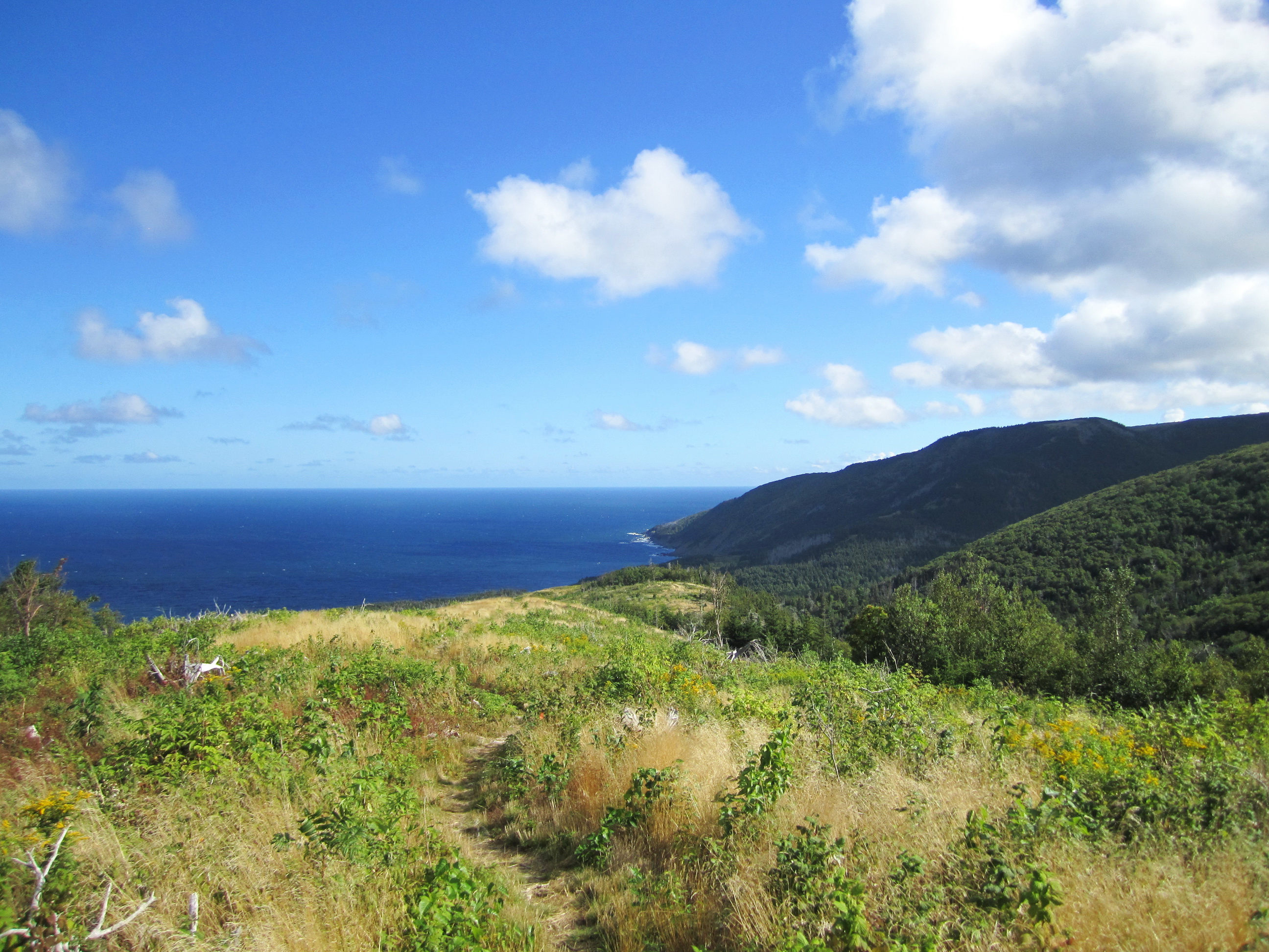 Cape Mabou Highlands hiking trail