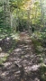 Corney Brook Trail