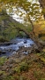 Corney Brook in the Fall