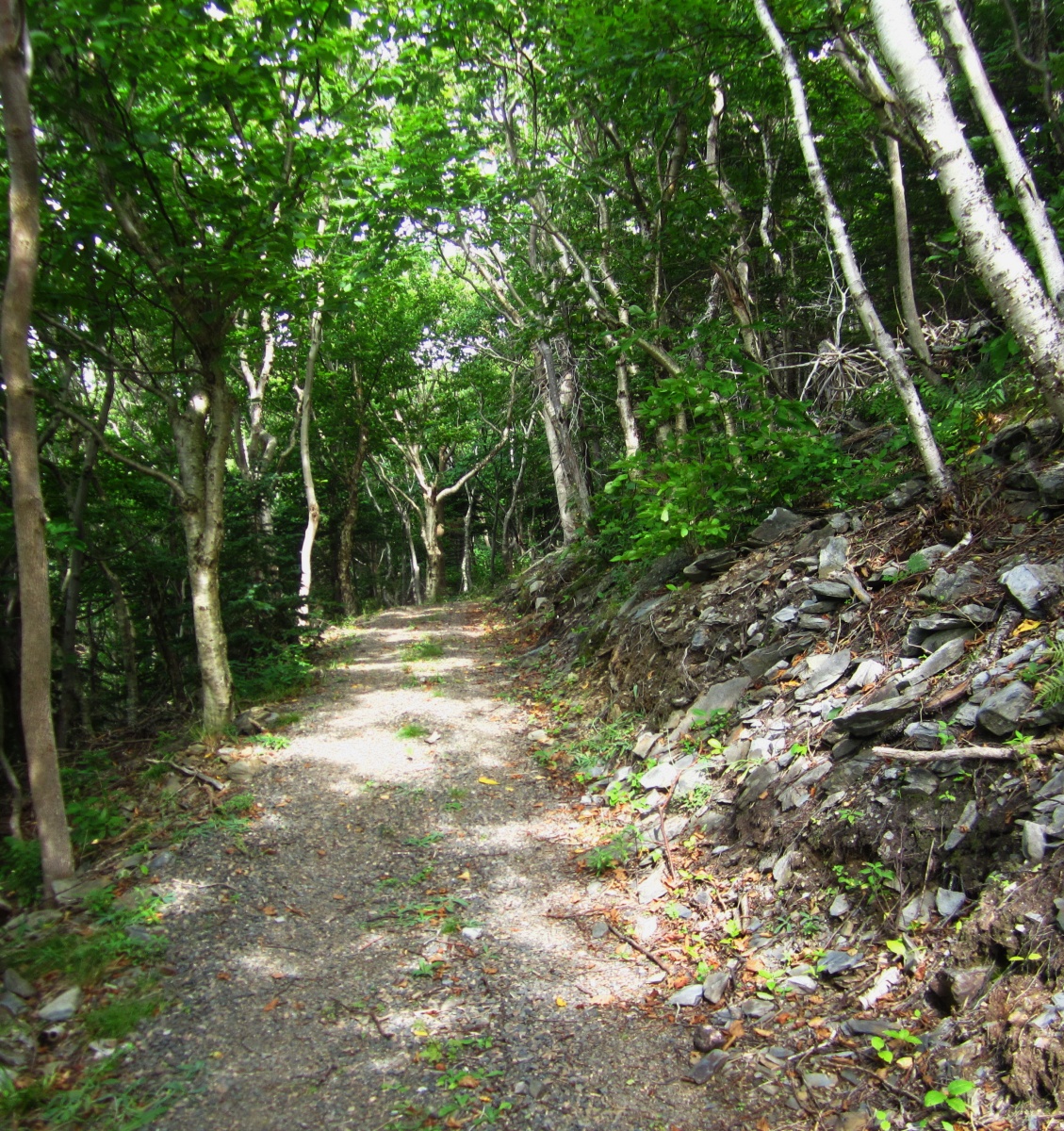 Le Vieux Chemin de Cap Rouge Trail 2